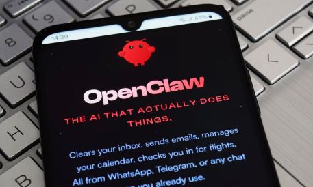 What Businesses Can Learn From the OpenClaw Story